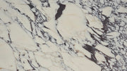 Calacatta Viola Marble Sample 4" x 4"