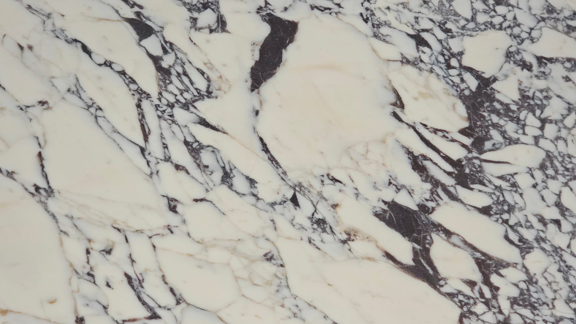 Calacatta Viola Marble Sample 4" x 4"