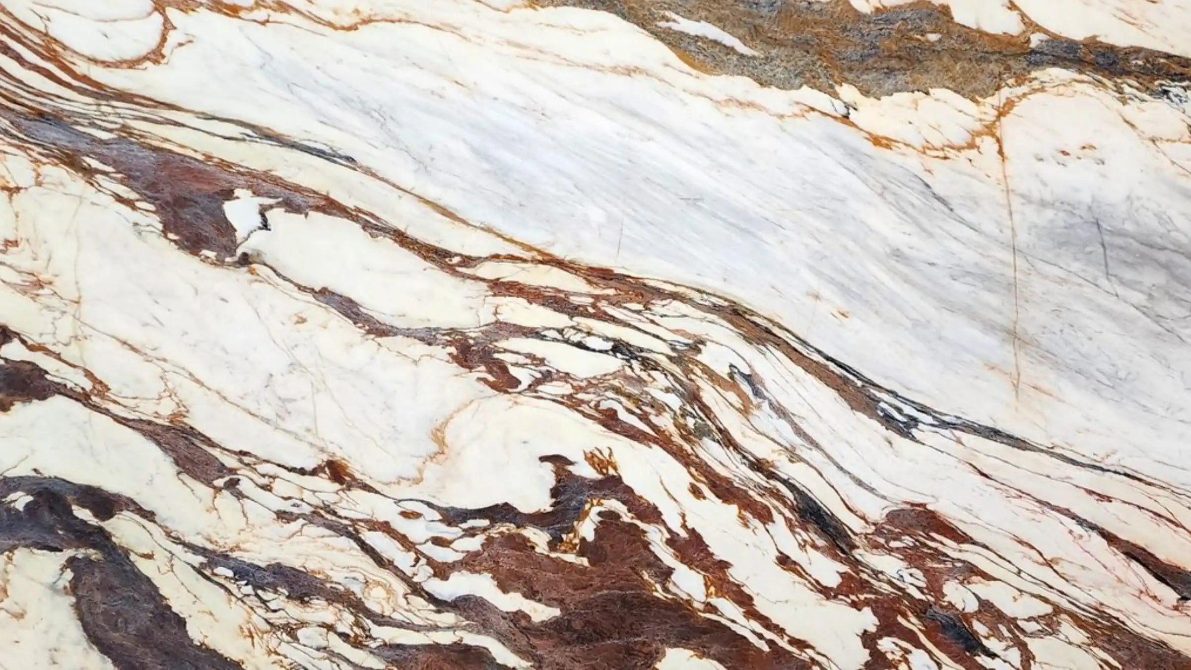Calacatta Gold Marble Sample 4" x 4"