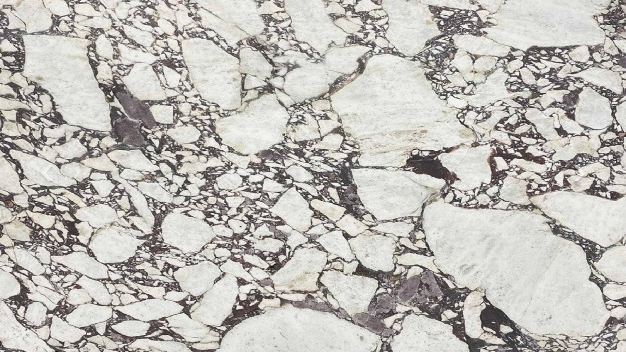 Calacatta Viola Marble Sample 4" x 4"