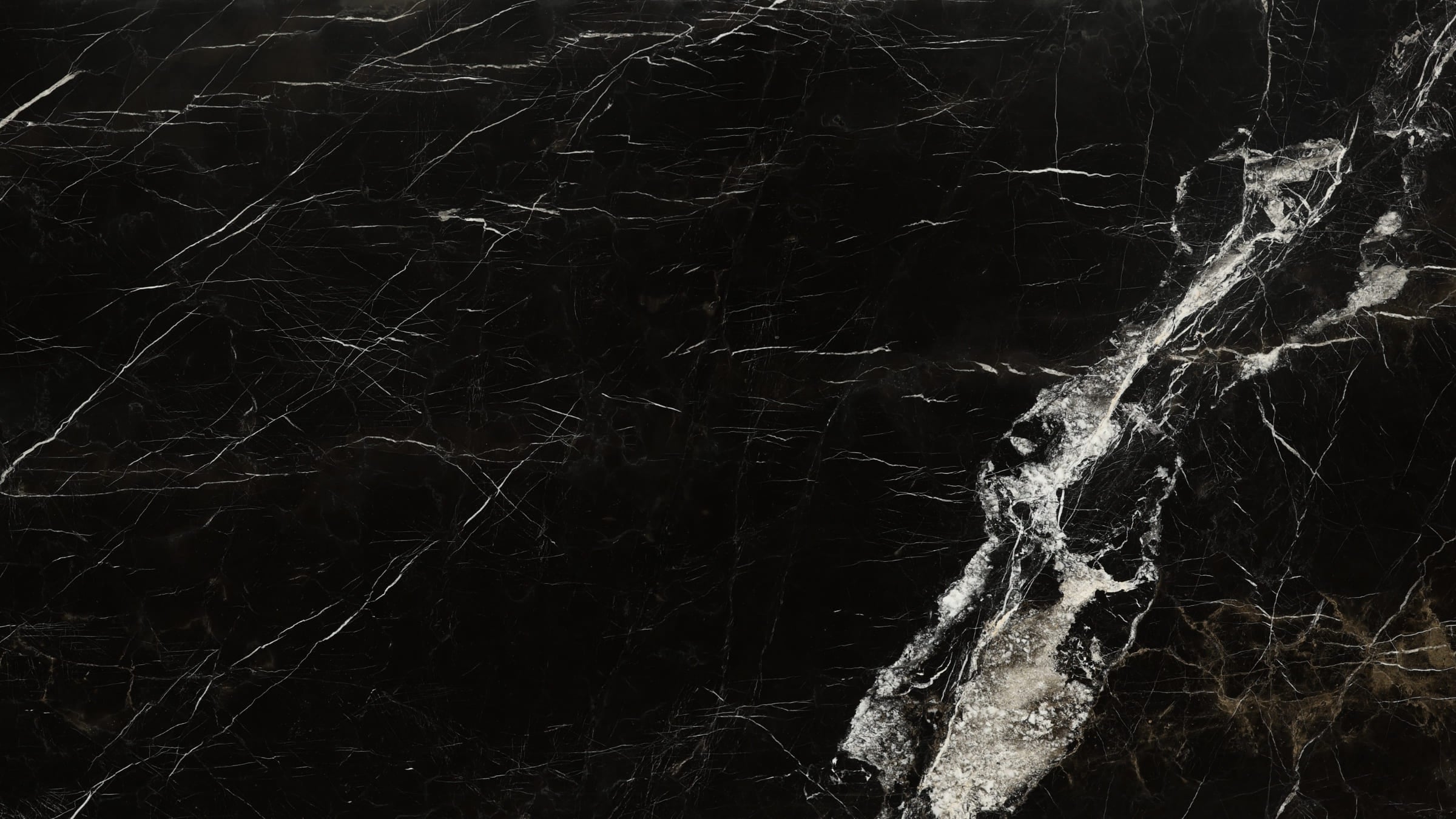 Nero Marquina Marble Sample 4" x 4"