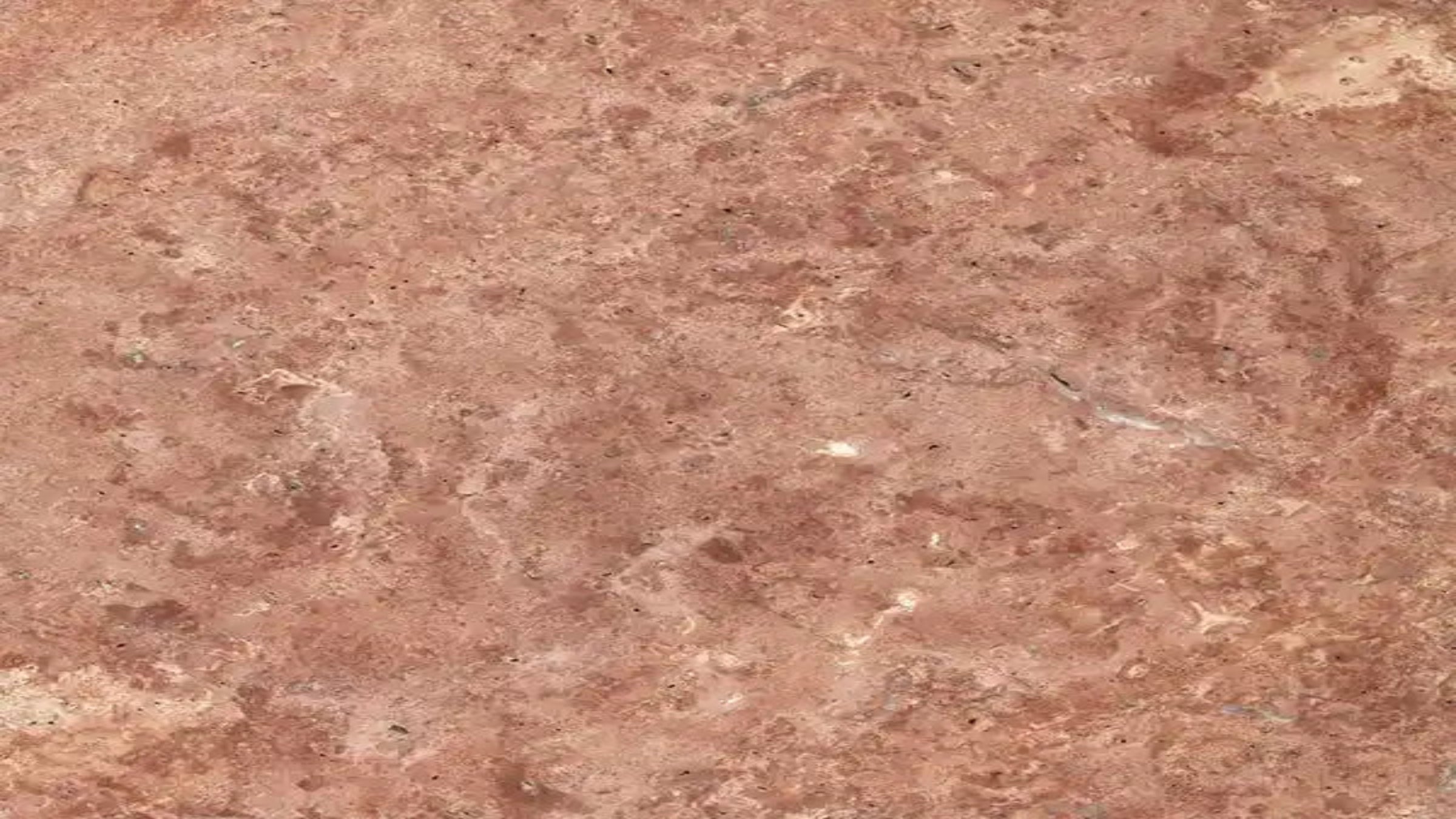 Cross-Cut Red Travertine Sample 4" x 4"