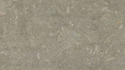 Seagrass Limestone Sample 4" x 4"