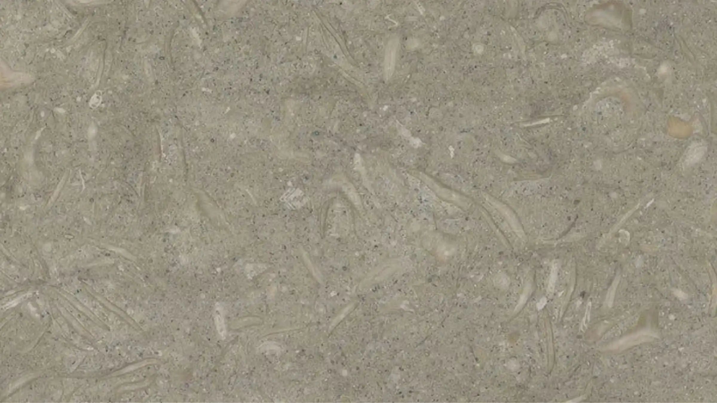 Seagrass Limestone Sample 4" x 4"