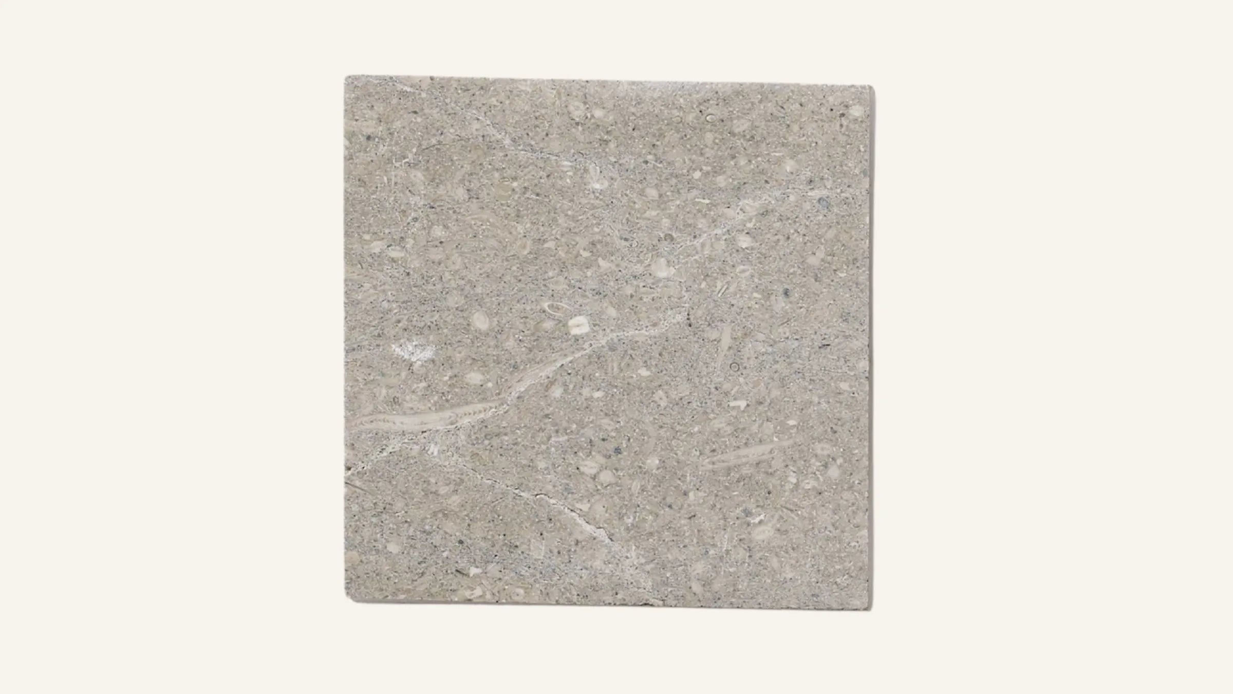 Seagrass Limestone Sample 4" x 4"